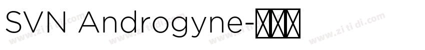 SVN Androgyne字体转换